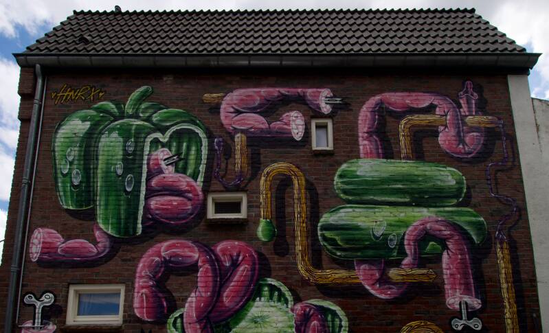 mural-hnrx-heerlen-standard.jpg