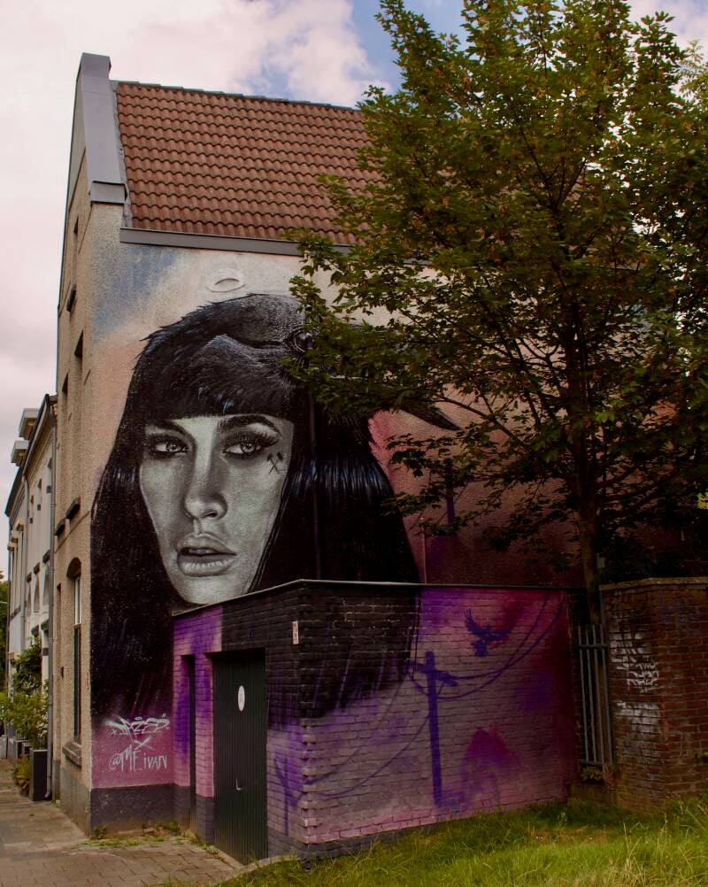 mural-meezenbroekerweg-heerlen-standard.jpg