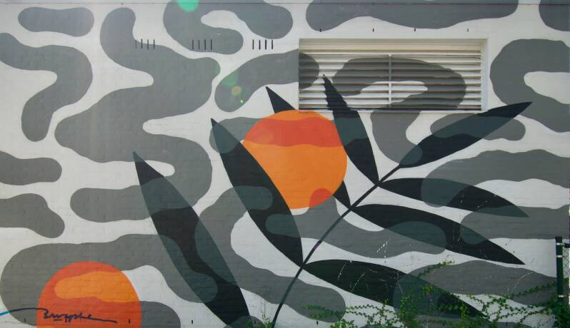 mural-pluk-de-dag-heerlen-standard.jpg