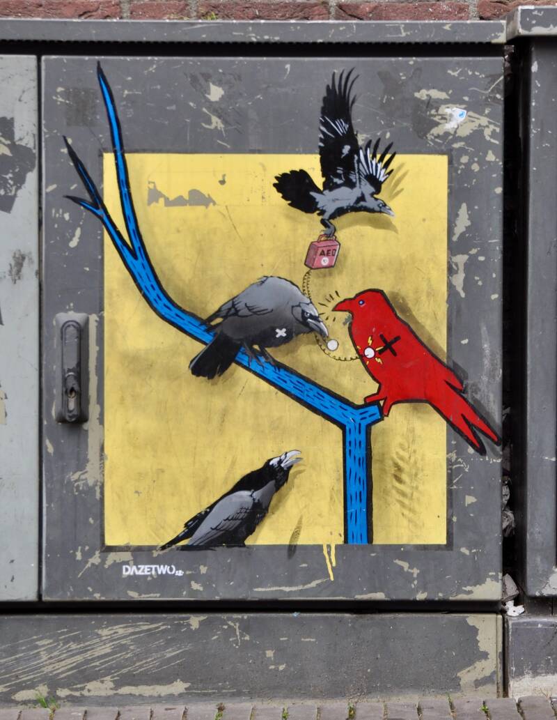 raven-vs-haring-20_53814156342_o-standard.jpg