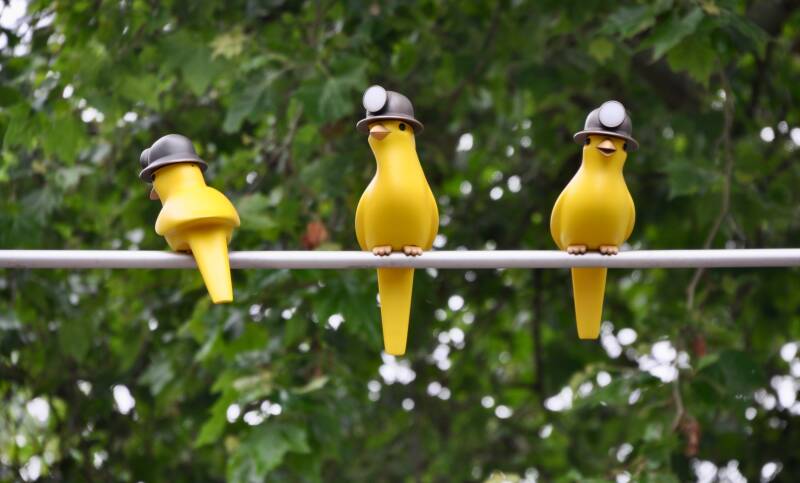 street-art-the-canary-from-the-coal-mine-heerlen-standard.jpg