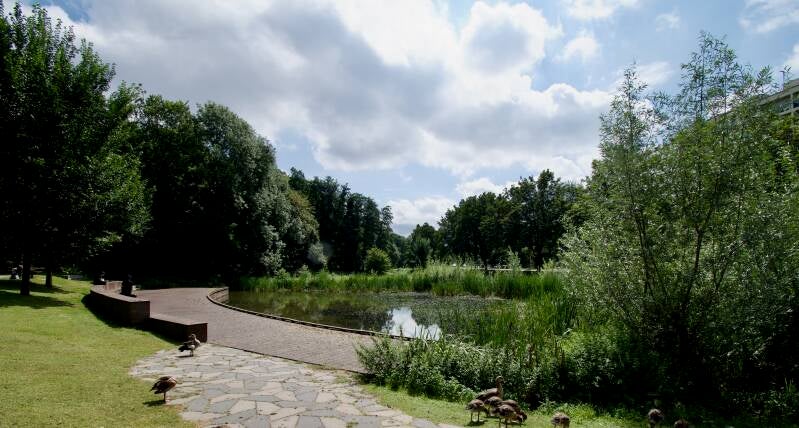 vijver-bij-de-groene-boord-heerlen-standard.jpg