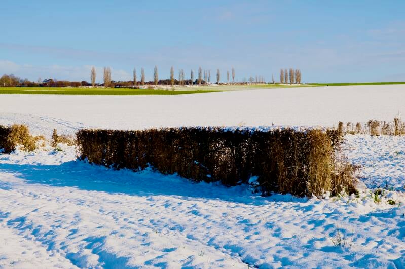 winter-in-wittem-nl-standard.jpg
