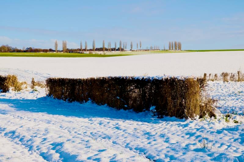 winter-in-wittem-standard.jpg