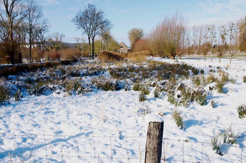 wittemermolen-met-bevroren-selzerbeek-standard-t6bhwo.jpg