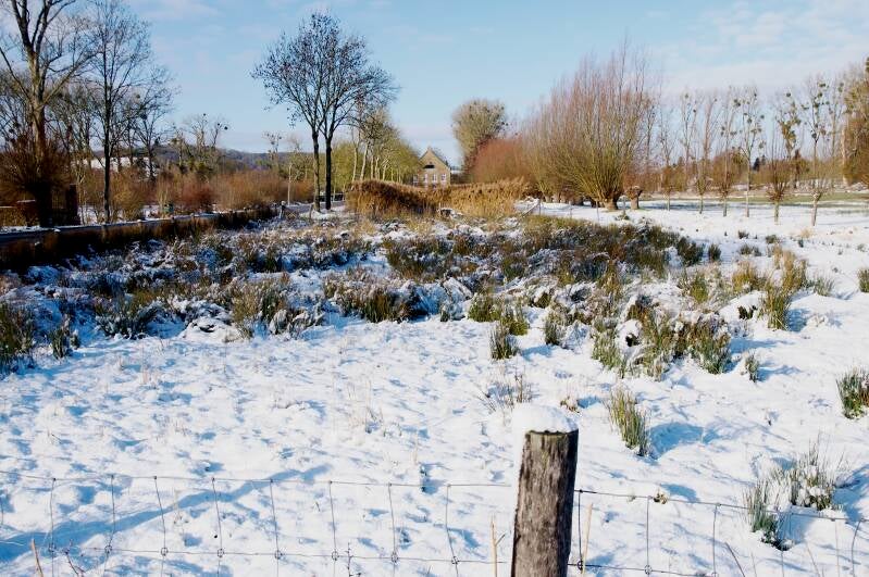 wittemermolen-met-bevroren-selzerbeek-standard.jpg
