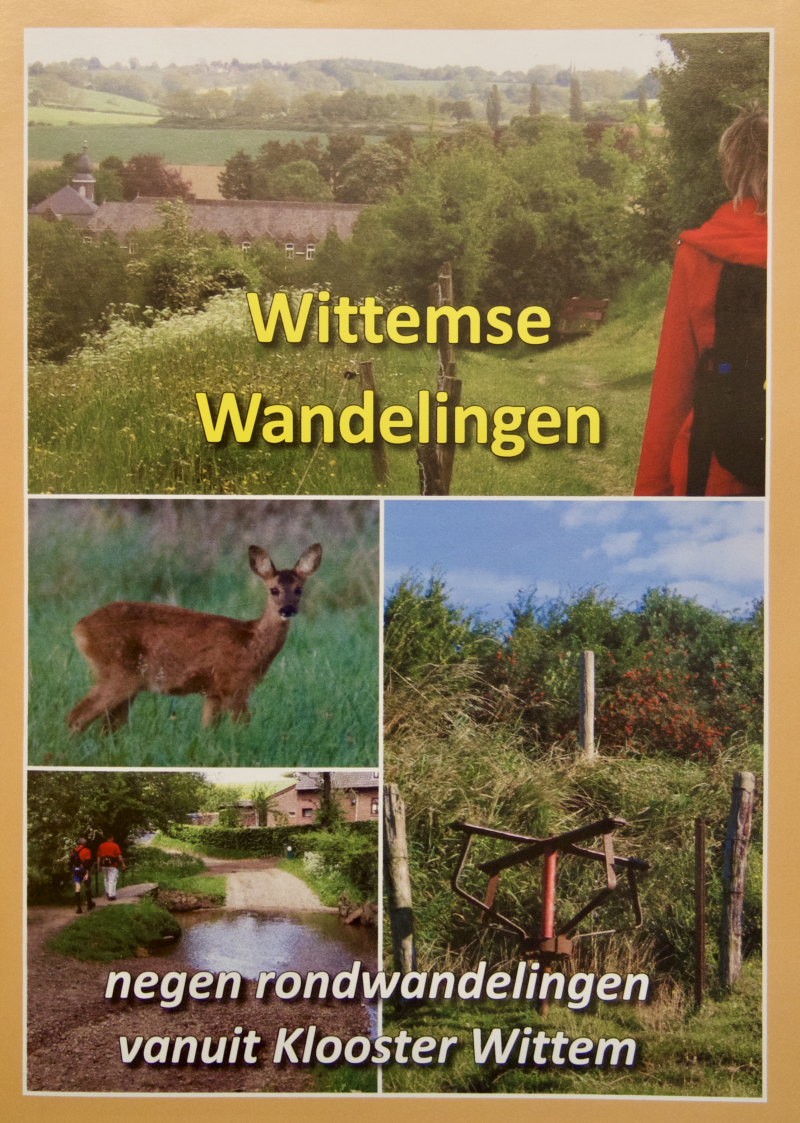 wittemse-wandelingen-standard.png