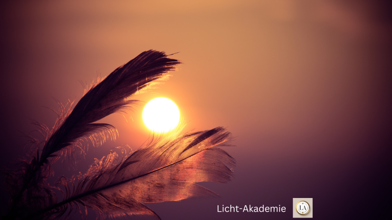 Federn im Sonnenuntergang - Symbol für Liebe und Freiheit | Licht-Akademie
