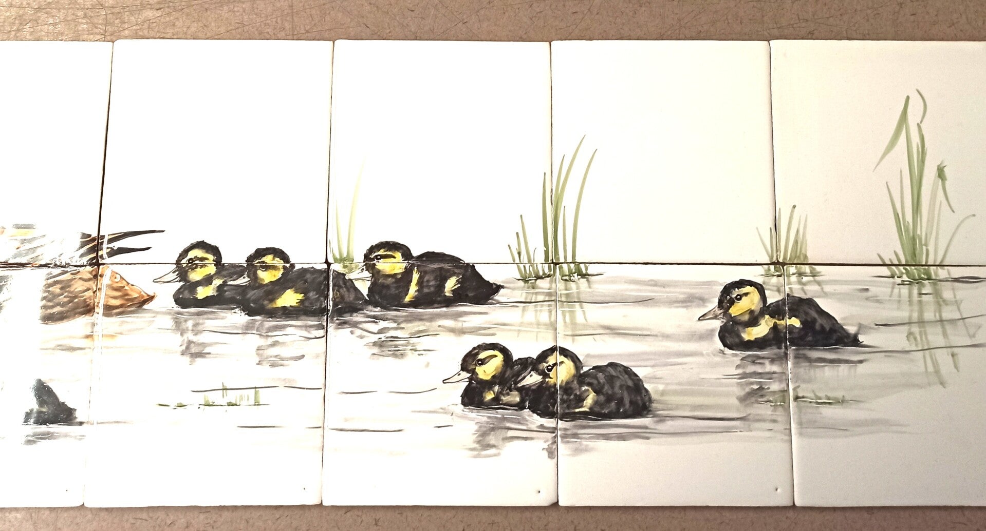 Moeder eend met jonkies