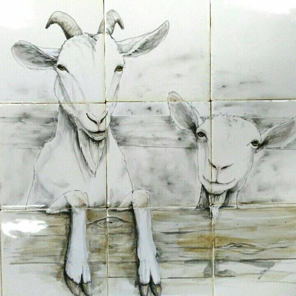 2 geiten over het hek kijkend, op 9 witjes