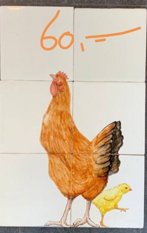 VERKOCHT kip met stout kuiken op 6 tegels