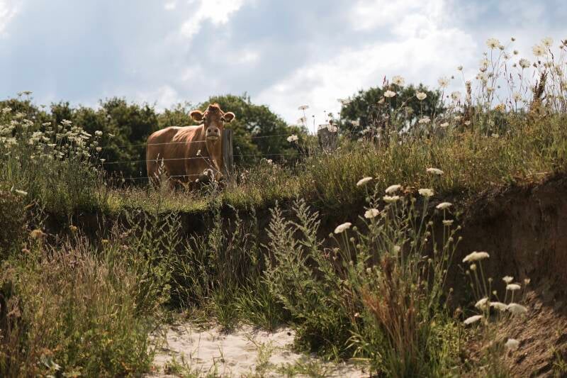 ©Lina Mörking  Ostsee Fotografie Tourismus