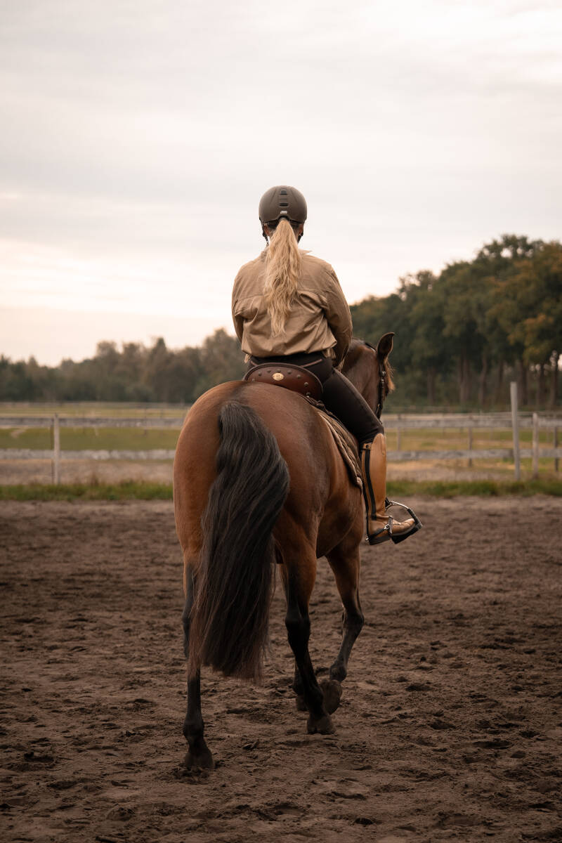 ©Lina Mörking | Tierfotografie | Pferdefotografie | Mensch und Tier
