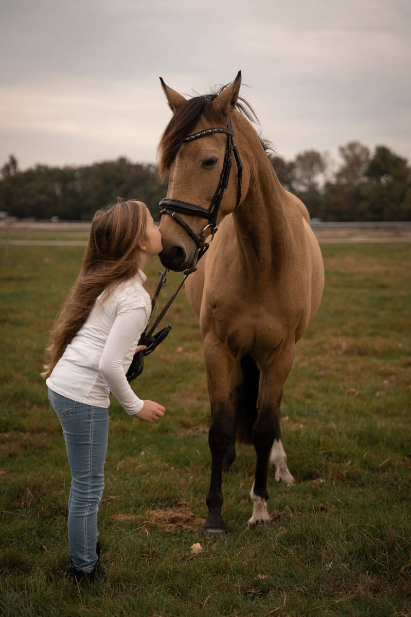 ©Lina Mörking | Tierfotografie | Pferdefotografie | Mensch und Tier