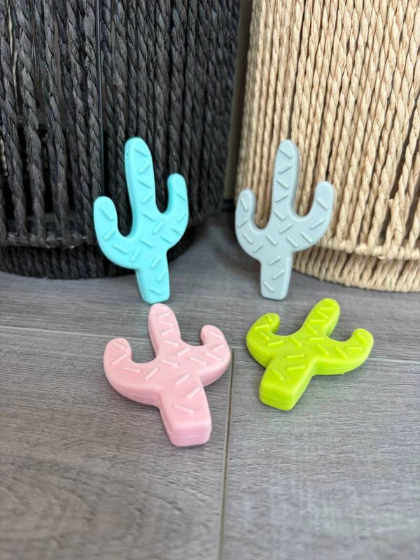 Bijtring cactus