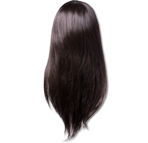Shri Indian Human Hair Front Lace Wigs (Steil) 13x6