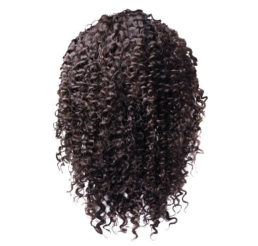 Shri Indian Human Hair Front Lace Wigs (Jerry Curl) 13x6