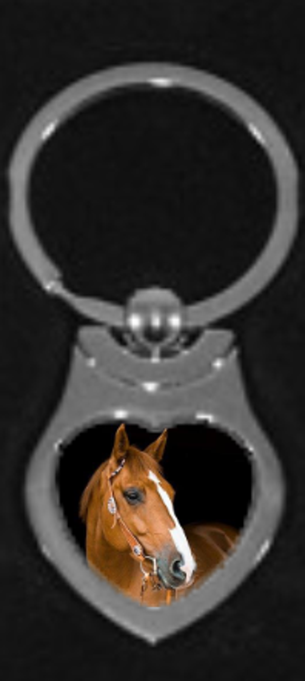 Sleutelhanger paard 1