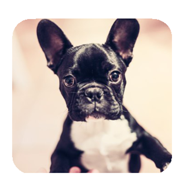 Onderzetters met eigen foto (4st)