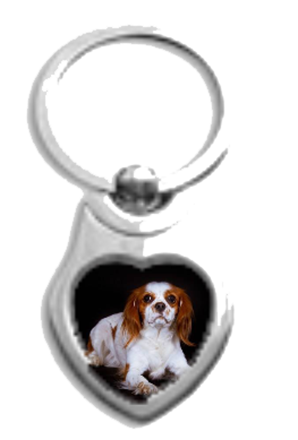 Sleutelhanger Cavelier king charles