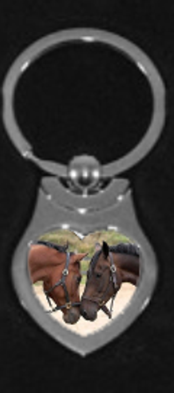 Sleutelhanger paarden