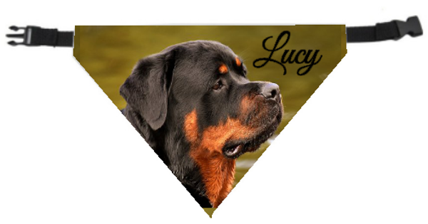 HUISDIEREN BANDANA met eigen foto