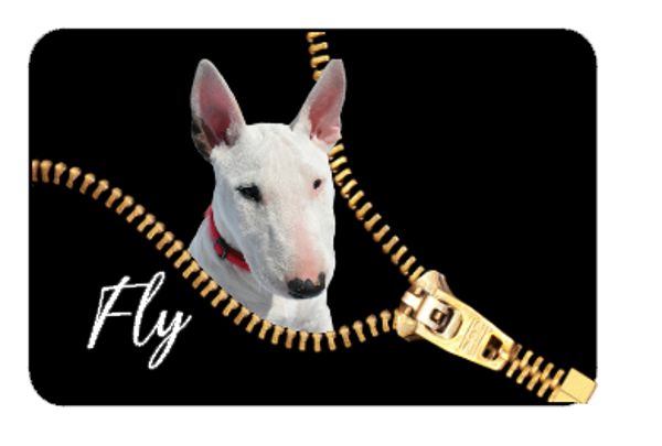 Muismat eigen hond met naam in rits