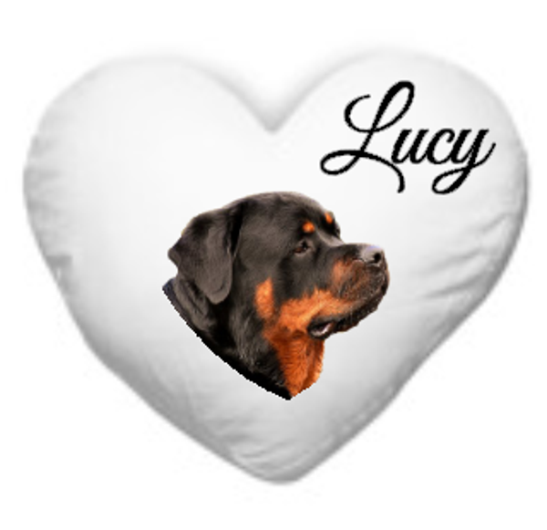 Hartjeskussen met eigen foto/naam