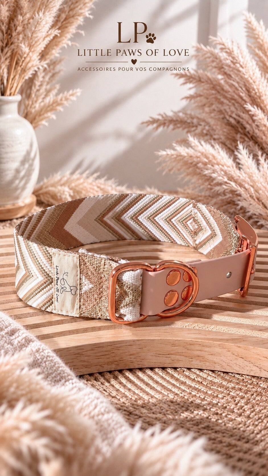 Collier Sangle & Biothane 🐾