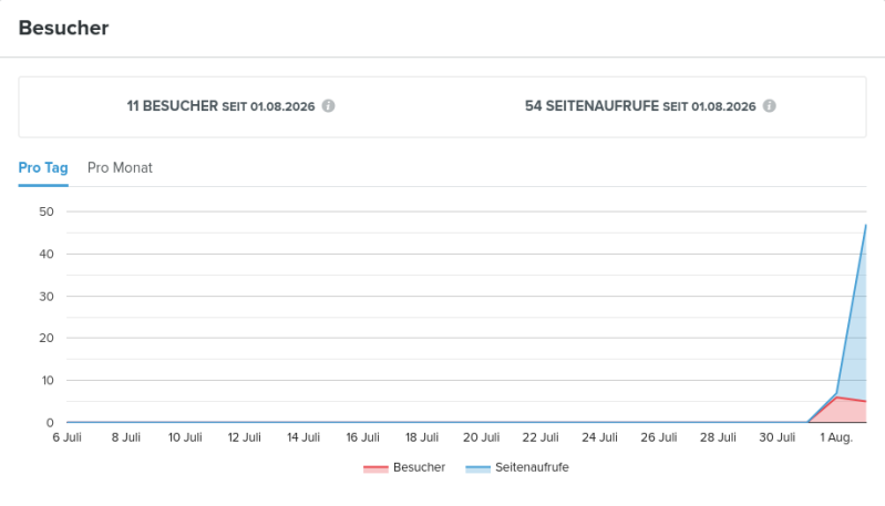 screenshot-2026-08-03-at-13-46-12-besucher-statistiken-webador-standard.png