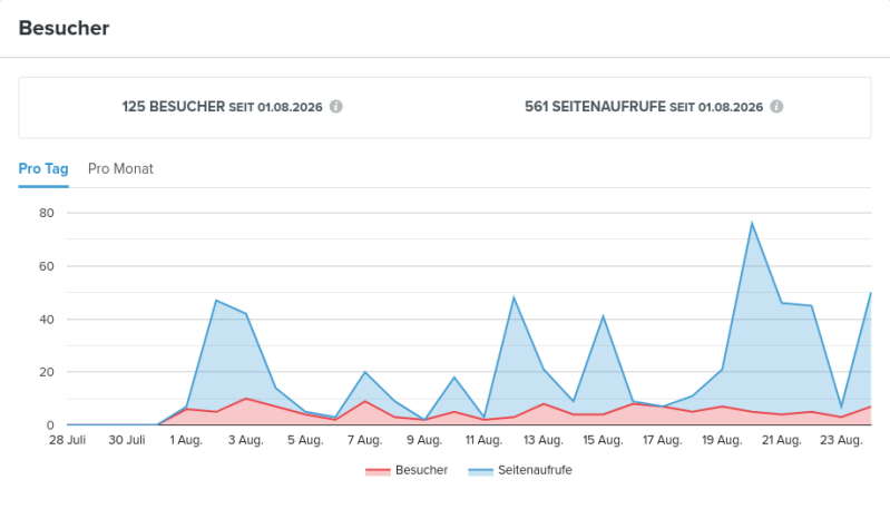 screenshot-2026-08-25-at-17-56-59-besucher-statistiken-webador-standard.png