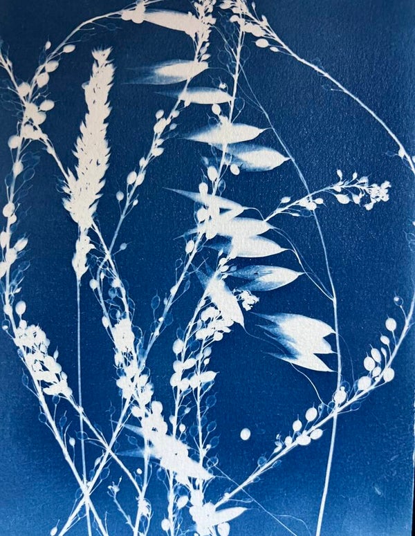Cyanotype