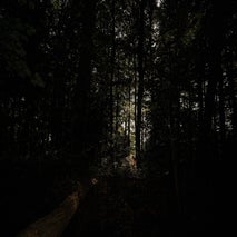 dsc07388-standard.jpg