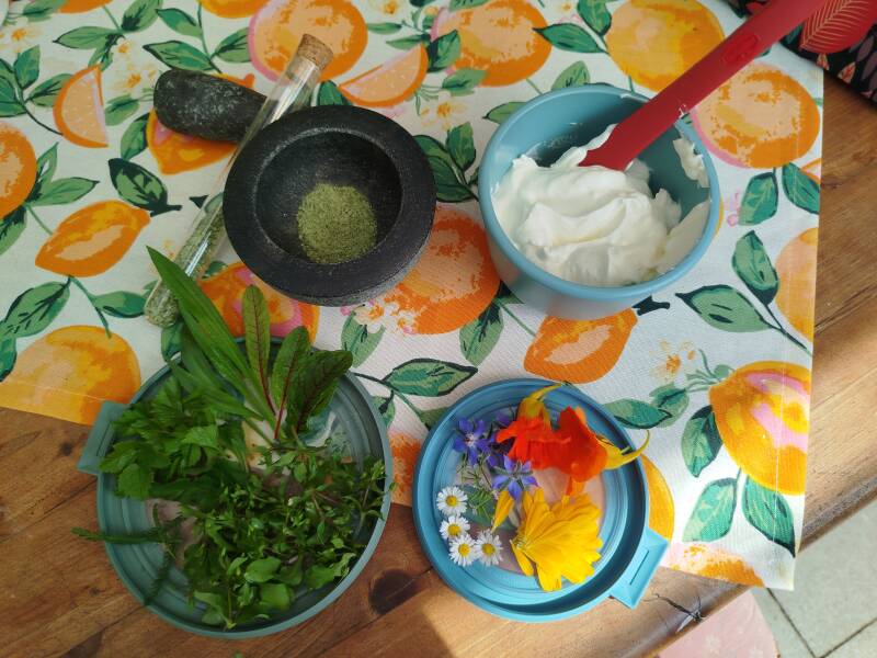 Wildkräutersuppe Zutaten in schalen vor dem Wilkräuterbuch Kochbuch