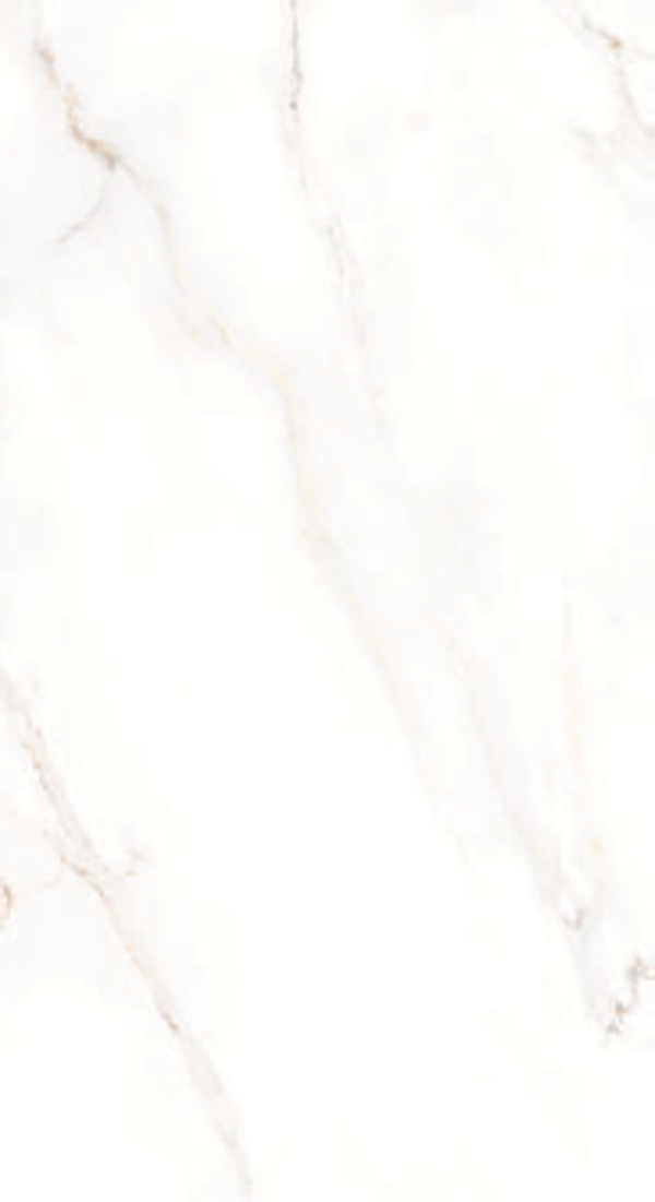 Calacatta White 60x120