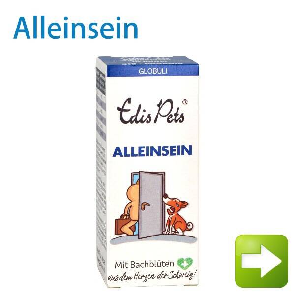 Edis Pets Hunde Alleinsein