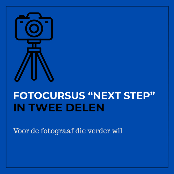 Next step fotocursus ( 2 dagdelen)