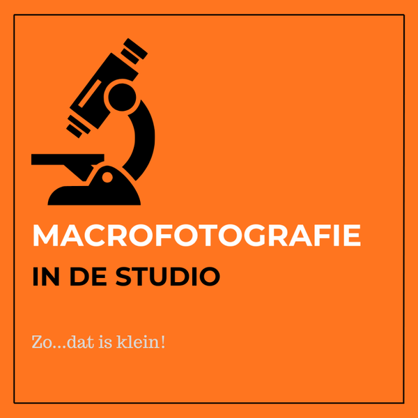 Macrofotografie (dagdeel)