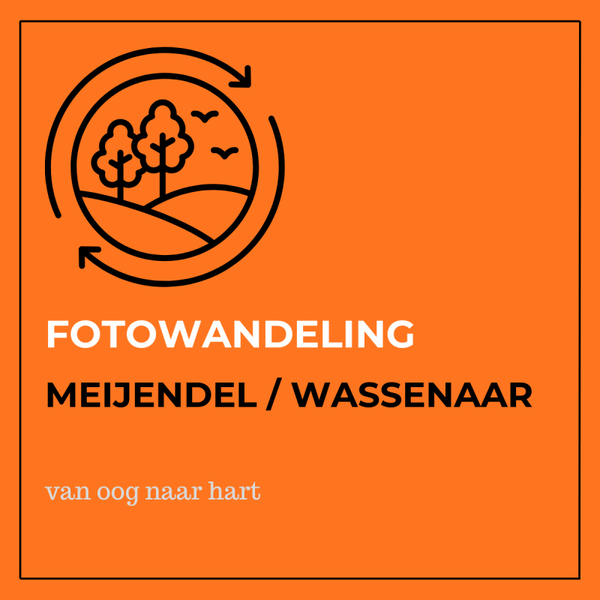 Fotowandeling Meijendel