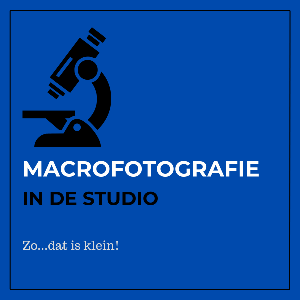 Macrofotografie (dagdeel)