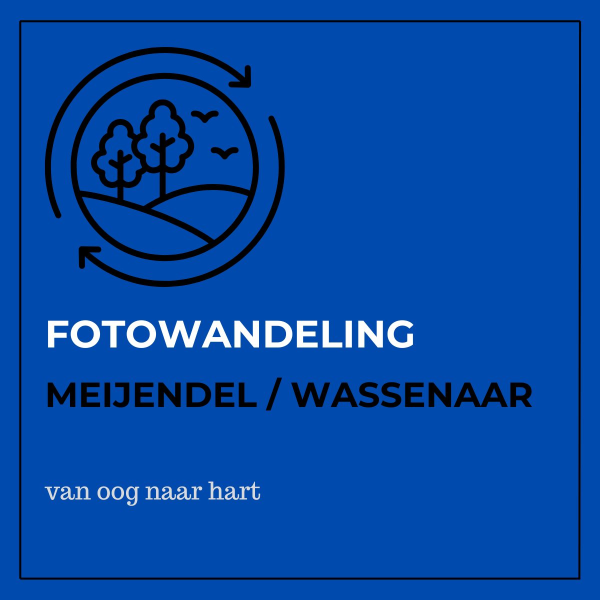 Fotowandeling Meijendel