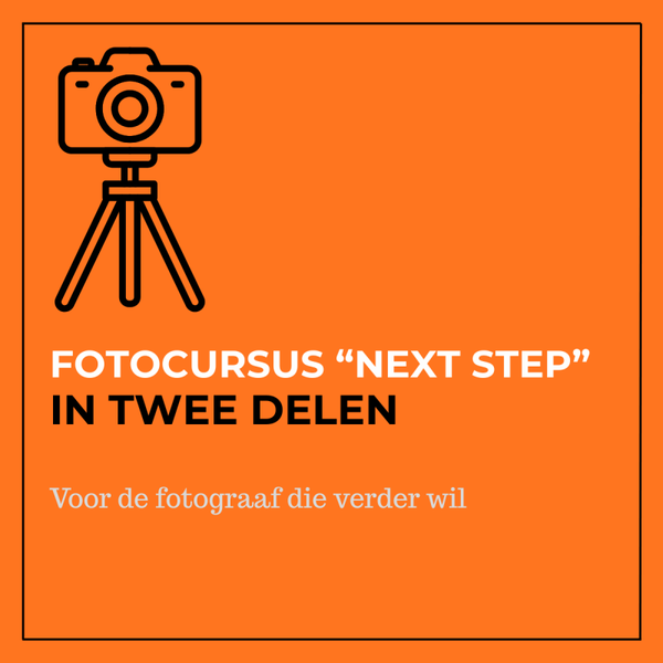 Next step fotocursus ( 2 dagdelen)