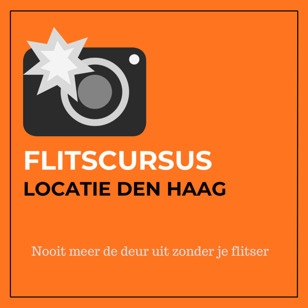 Flitscursus (hele dag)
