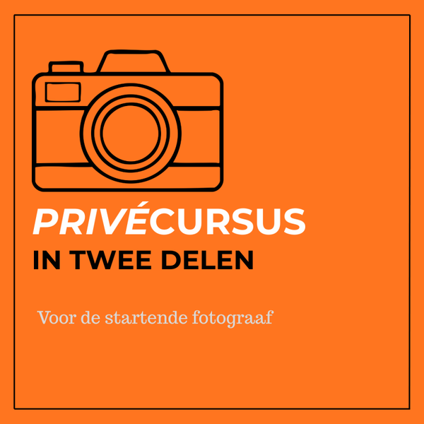 Privécursus (2 dagdelen)