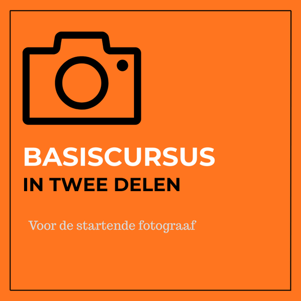 Basiscursus ( 2 dagdelen)