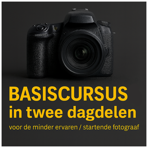 Basiscursus ( 2 dagdelen)