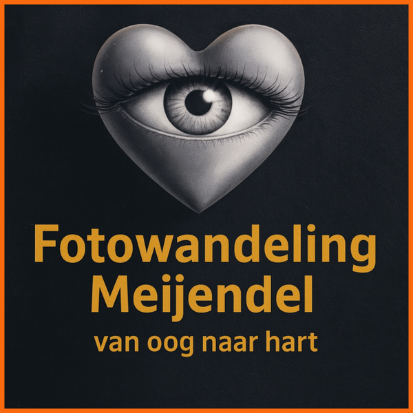 Fotowandeling Meijendel