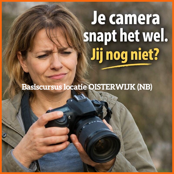 Basiscursus Oisterwijk