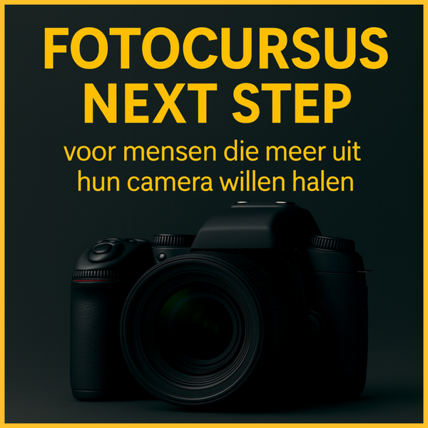 Next step fotocursus ( 2 dagdelen)