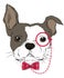 Snob dog - salon de toilettage